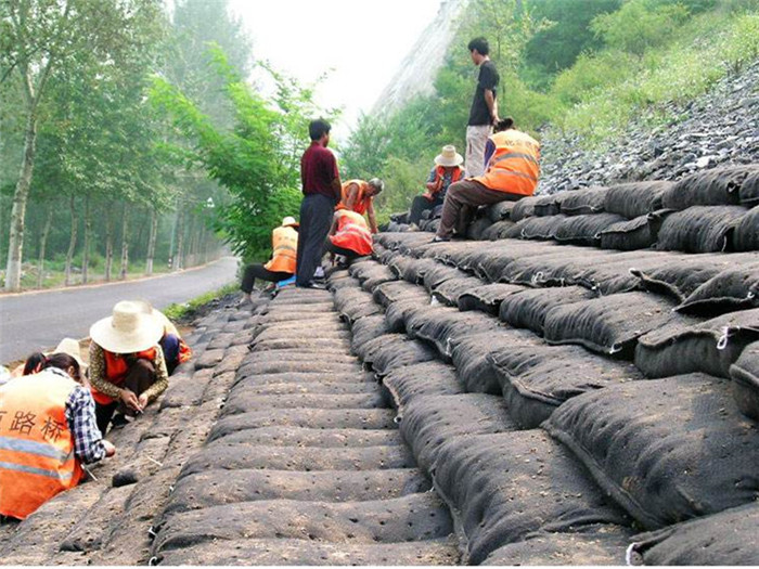 生態袋施工案例