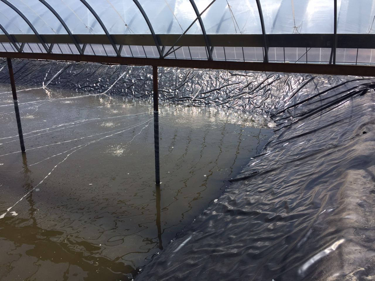 養魚池防滲工程