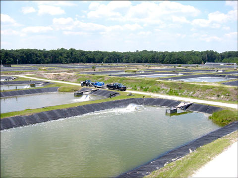 養(yǎng)魚、養(yǎng)蝦使用防滲膜（養(yǎng)殖膜）