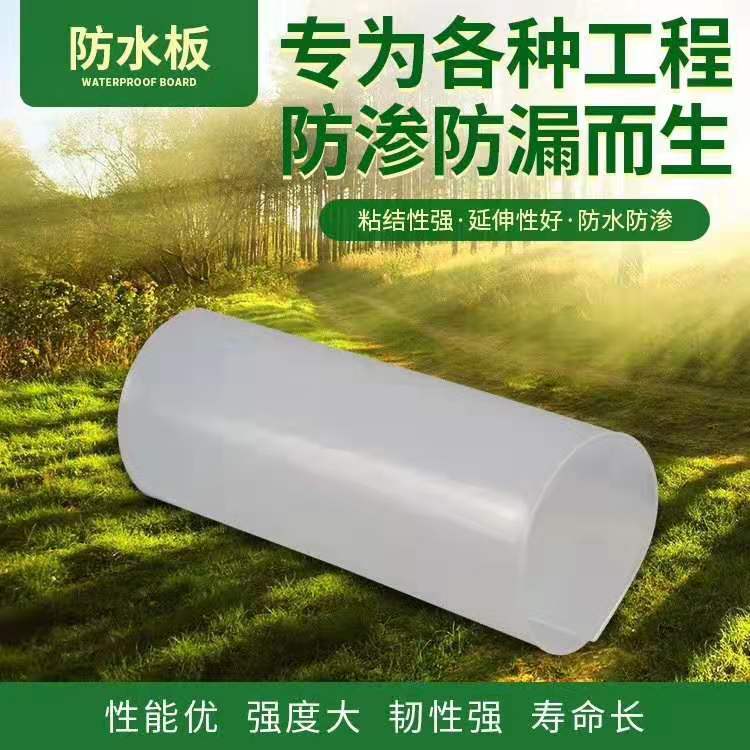 單膜隧道防水板